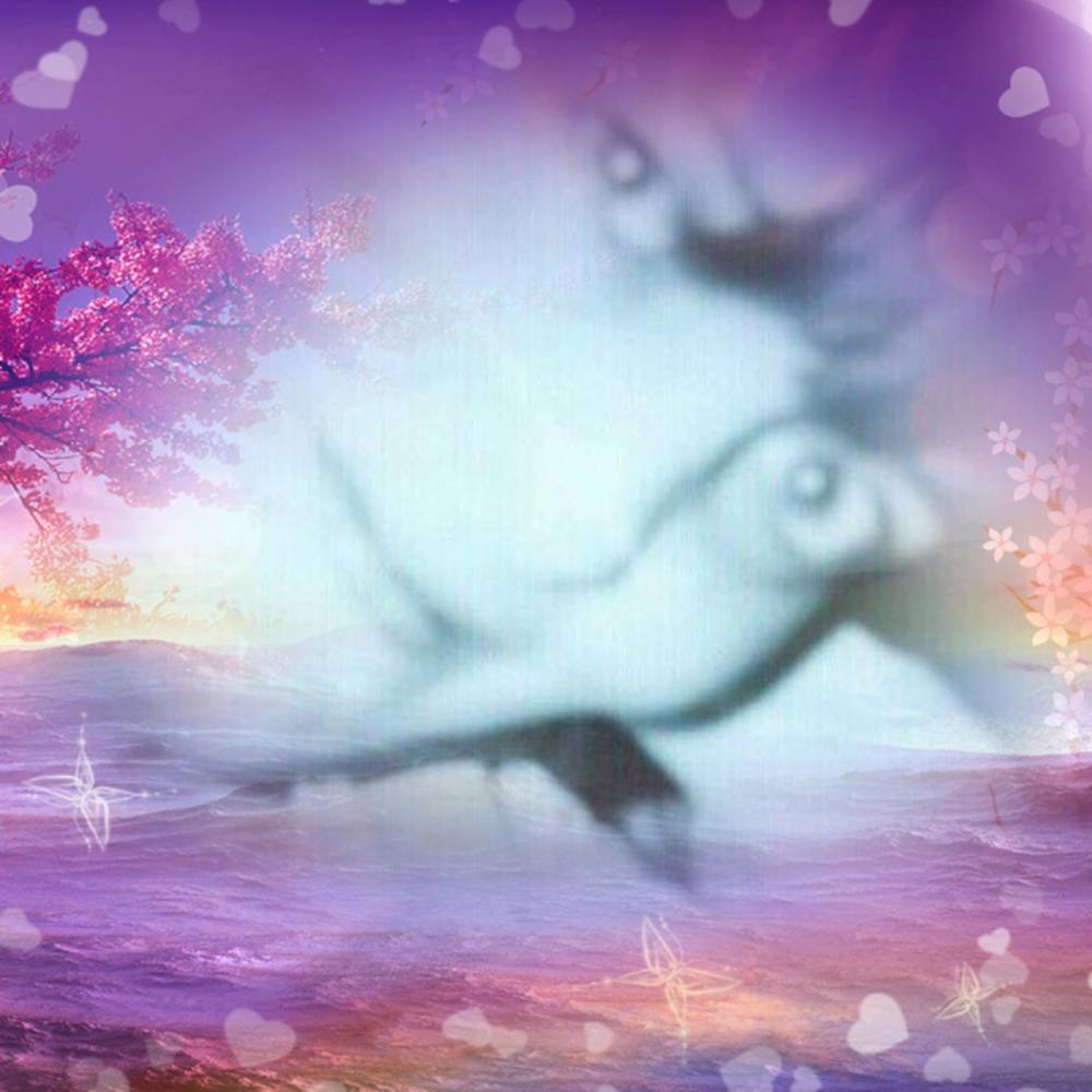 Meet your Posher, Billie jo